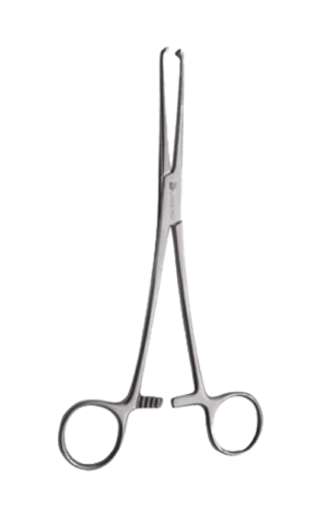 PINCA ALLIS Lote:10240056